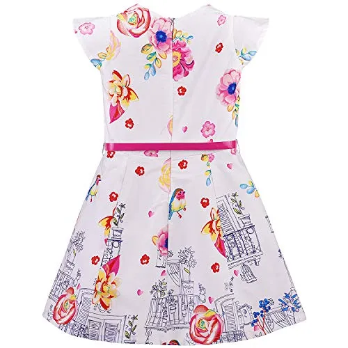 Baby Girls Dress Frock-bxa255pnk