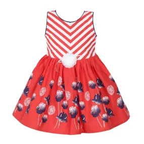 Baby Girls Party Wear Frock Dress ctn259rd