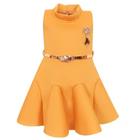 Baby Girls Party Wear Frock Dress fe2438ylw